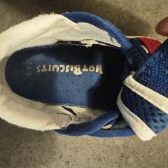 ミキハウス ホットビスケッツ ベビーサンダルの画像