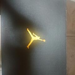 Nike Air Jordan1スニーカーの画像