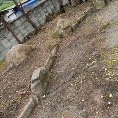 生活雑貨 家庭用品 ガーデニングの画像