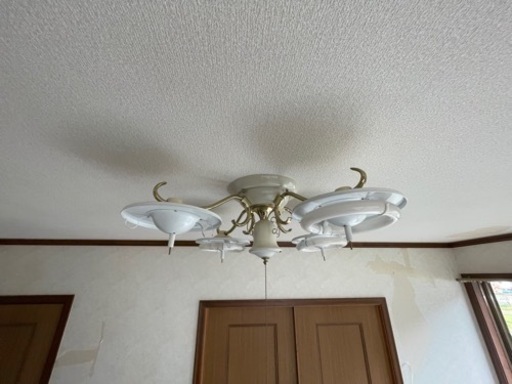 家具 照明器具
