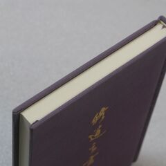 復刻版 修道之玄意 紫龍仙道人の画像
