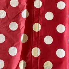 ディズニー　レインポンチョの画像