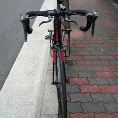 🚴giant contend2の画像