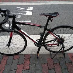 🚴giant contend2の画像