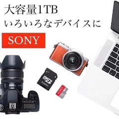 SONY  マイクロSDカード  1TBの画像