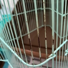 【値下げ】ペット　ハムスター用品セット①の画像