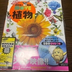 おもちゃ パズルの画像