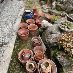 植木鉢　現状渡しの画像