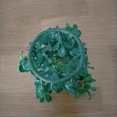 観葉植物　フェイクの画像