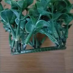 観葉植物　フェイクの画像