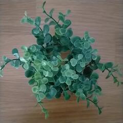 観葉植物　フェイクの画像