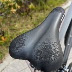 KhodaaBloom RAIL700Aの画像