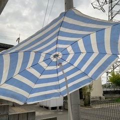 パラソルの画像