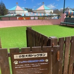 ドッグマルシェ出店者募集 那須ハイランドパーク - 那須塩原市