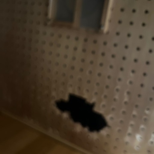 犬　防音ゲージ