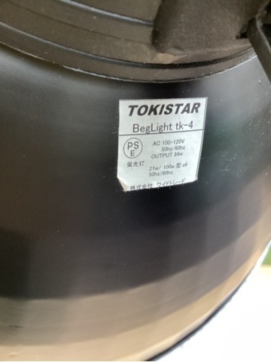 美原店　TOKISTAR ベグライト　スタジオ　撮影 Beglight tk-4n