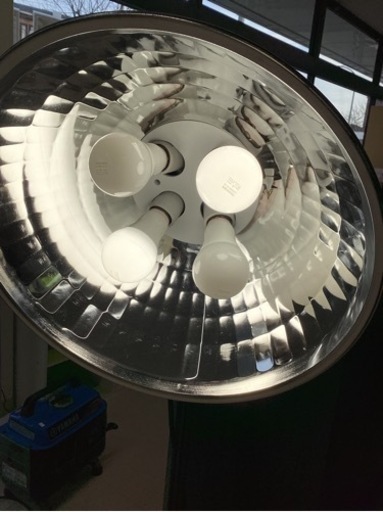 美原店　TOKISTAR ベグライト　スタジオ　撮影 Beglight tk-4n