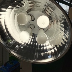 美原店　TOKISTAR ベグライト　スタジオ　撮影 Beglight tk-4nの画像