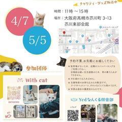 【保護猫の譲渡会】大阪府高槻市　5/5(日)