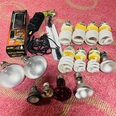（中古品）爬虫類用品 多数 お譲りしますの画像