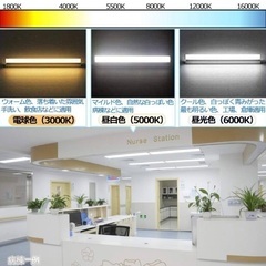 LED蛍光灯 直管 40W形 昼白色120㎝ グロースタータ器具専用 10本入りの画像
