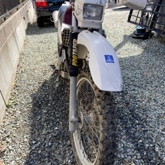 セロー　225の画像