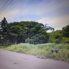 接道あり！小野川温泉にも近い、高原の山林売ります。