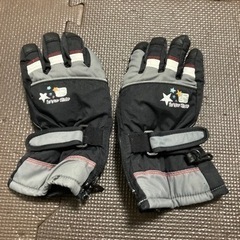 スポーツ スキー