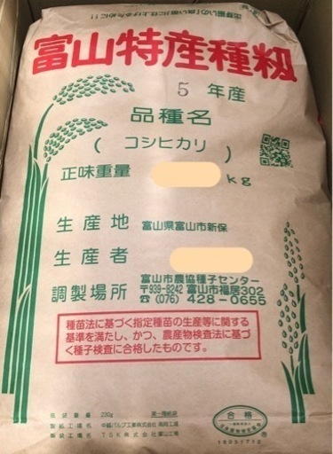 コシヒカリ　種籾