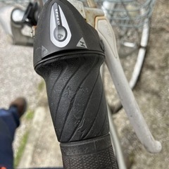 LisBlanc変速自転車の画像