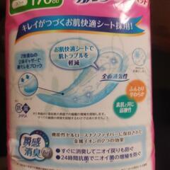 ポイズ 肌ケアパッド・２４枚入り ✕ ２袋・吸水ケア専用の画像