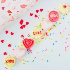 【2名様限定】コミュニティ募集🌈 ディズニープリンセスからメンタ...