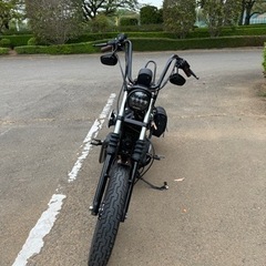 XL883N   スポーツスター アイアン ハーレーダビッドソンの画像