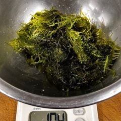 ウイロモス