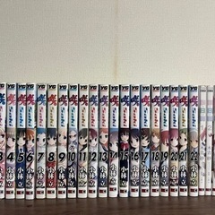 咲-saki-1〜22巻&咲日和1〜7巻