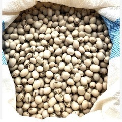 岡山産ムクナ豆100g