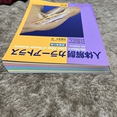 人体解剖カラーアトラスの画像