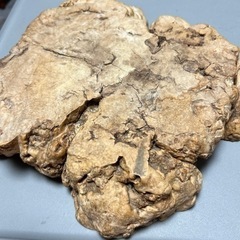 切り株花台　の画像