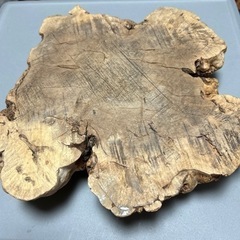 切り株花台　の画像