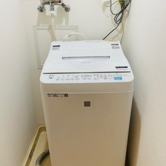 シャープ洗濯乾燥機2019年製の画像
