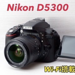 S数少○希少なグレー○初心者向け○Wi-Fi転送○ニコン D5300 1ヶ月動作