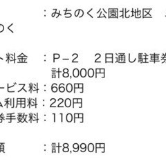アラバキ 2日通し 駐車券 P-2