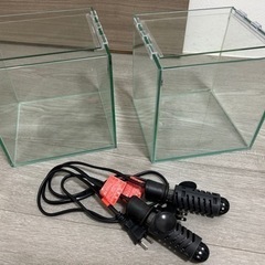 決まりましたの画像
