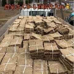 高麗芝、野芝、TM9.つくばグリーン、対応。アフター保証付き。の画像