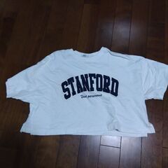 ショート丈　Tシャツ　ＩＮＧＮＩ