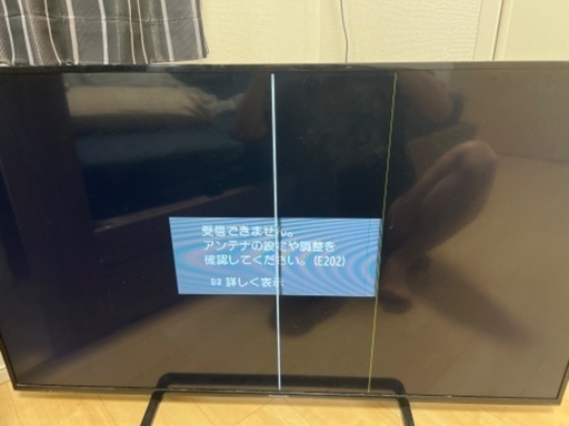 50型液晶TVPanasonicTH-50C305