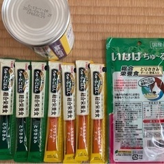 犬用ちゅーるごはん11本、犬シニア用缶詰め、シャンプータオル4パックセットの画像