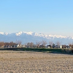 ランニング仲間募集