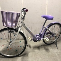子ども用自転車 エコパル 22インチ 紫色