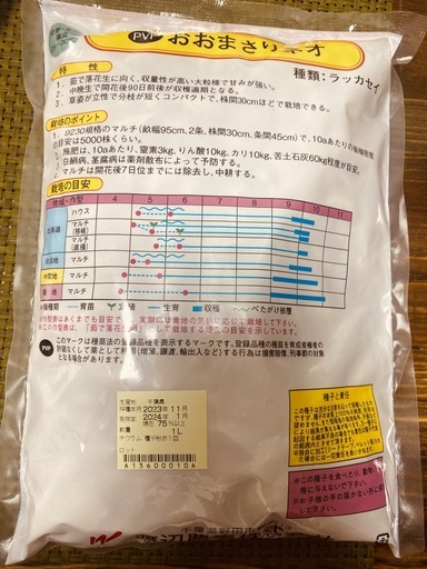 落花生の種　おおまさりネオ（人気！）